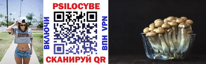 сколько стоит  Елизаветинская  Галлюциногенные грибы Psilocybine cubensis 